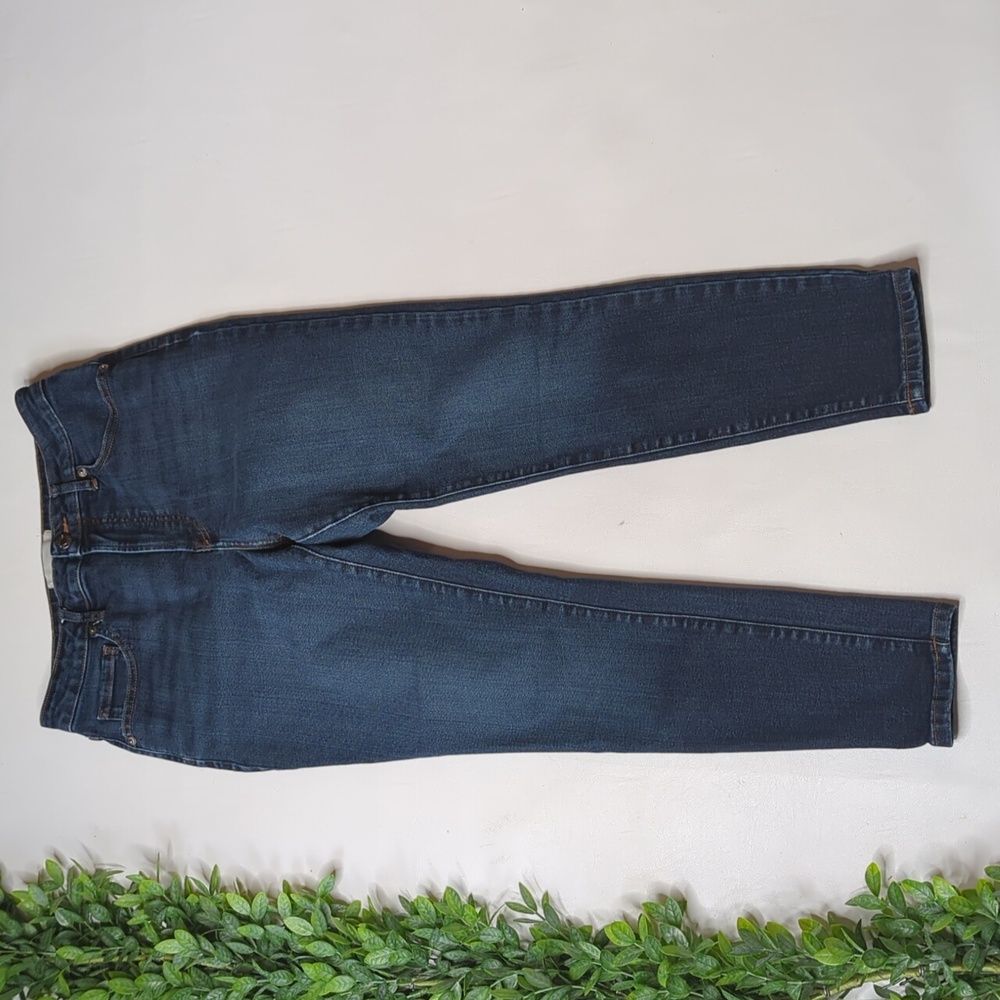 Everlane The Curvy High Rise Skinny Jean size 29 Crop